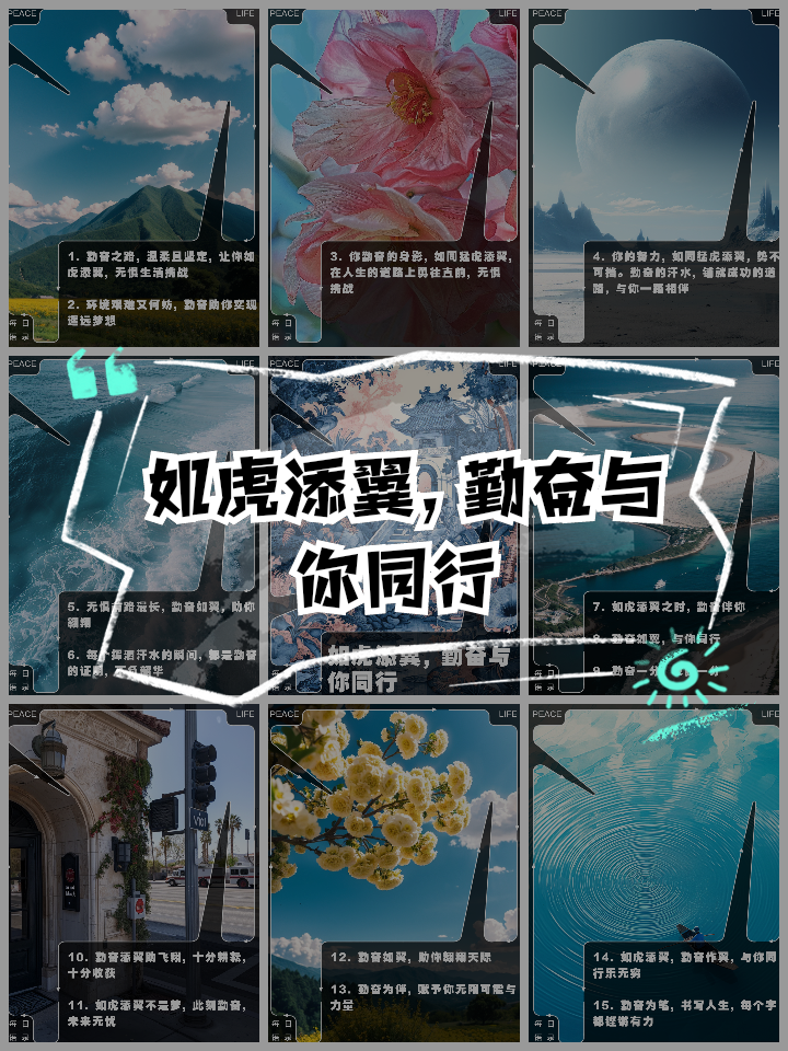 无惧挑战！欧预赛势不可挡向前冲刺