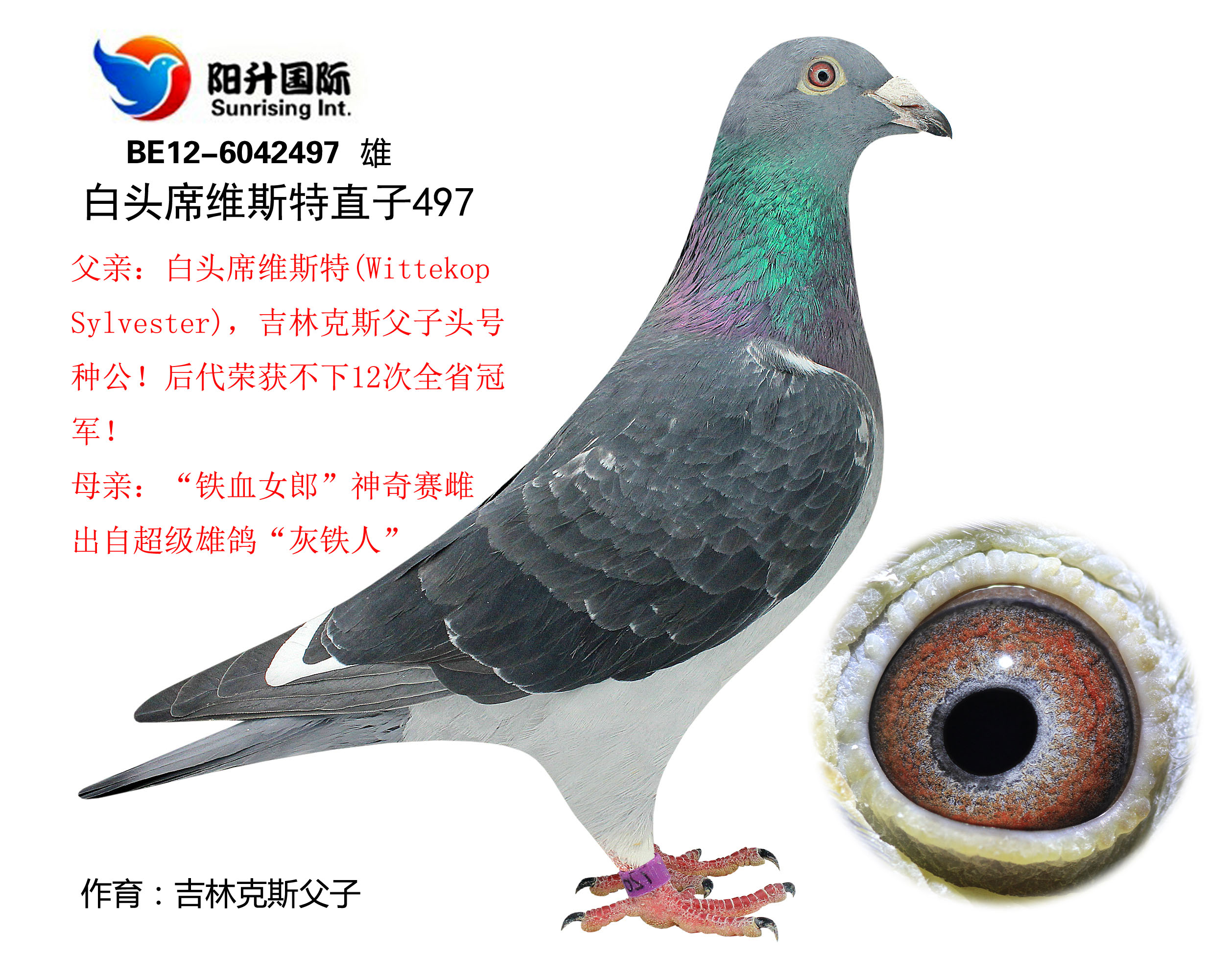 乔斯汀城惊险取胜，升至次席