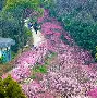 利记平台-梅斯临时教练上任，求稳困境渴盼新变革